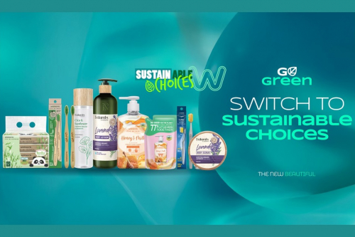 Accelerating Sustainable Choices