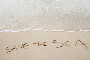 iStock_72800449_XLARGE.jpg
