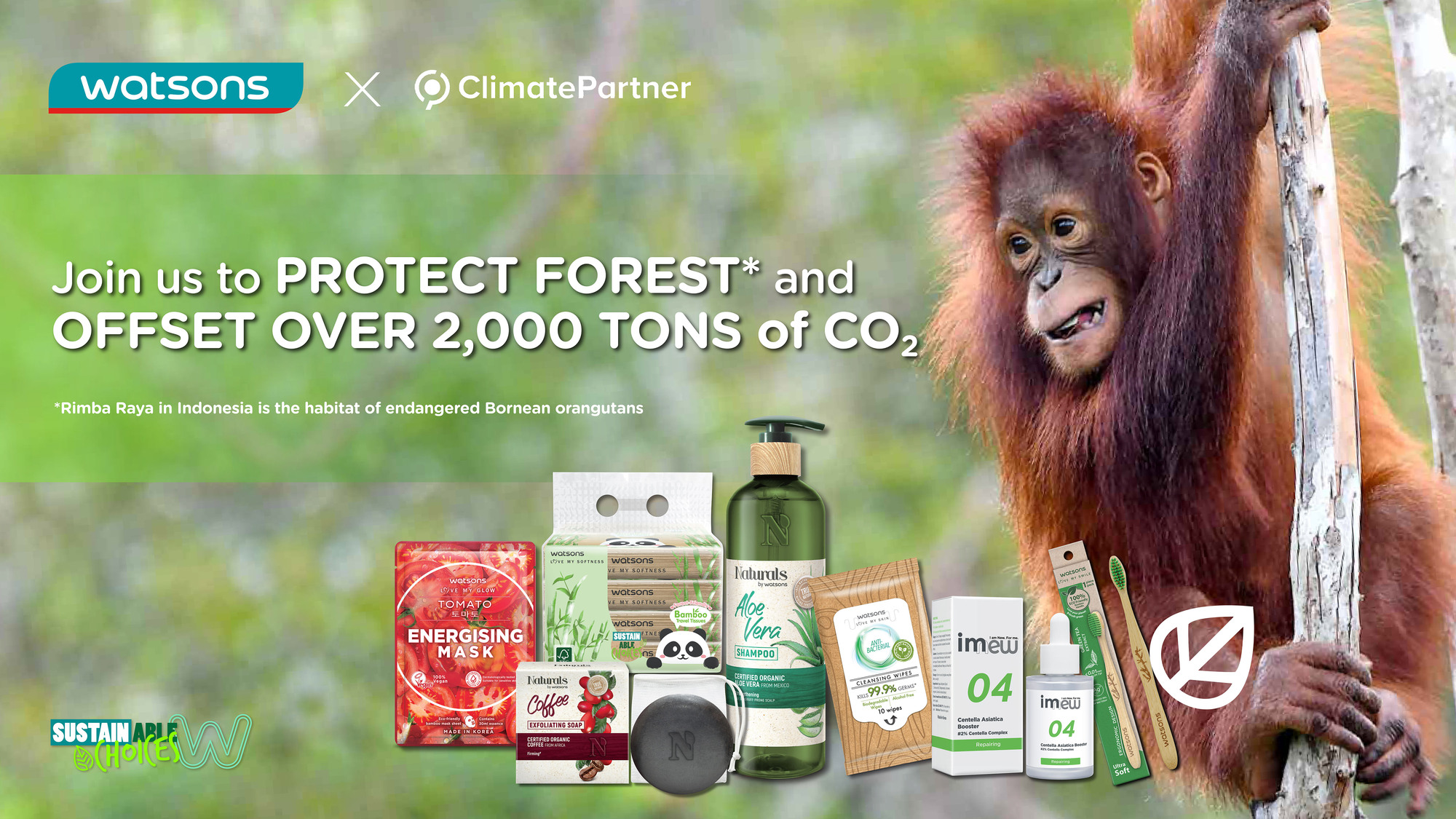 Watsons pledges to offset over 2,000 tons of Carbon Dioxide emissions by supporting ClimatePartner’s Forrest Protection initiatives in Rimba Raya, Indonesia